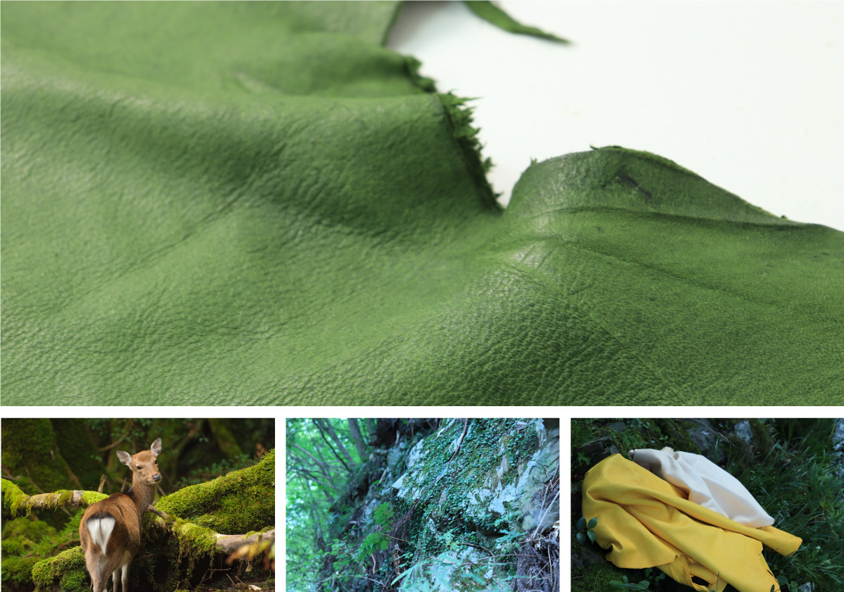 PRODUCT & HISTORY IMAGE